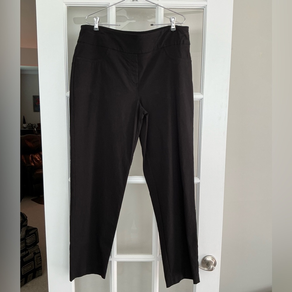 Ruby Road pants EUC